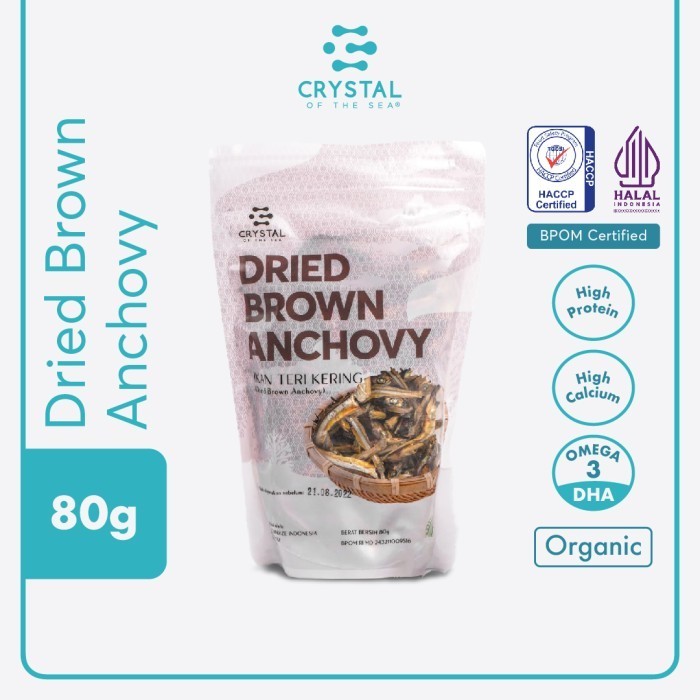 Brown Anchovy