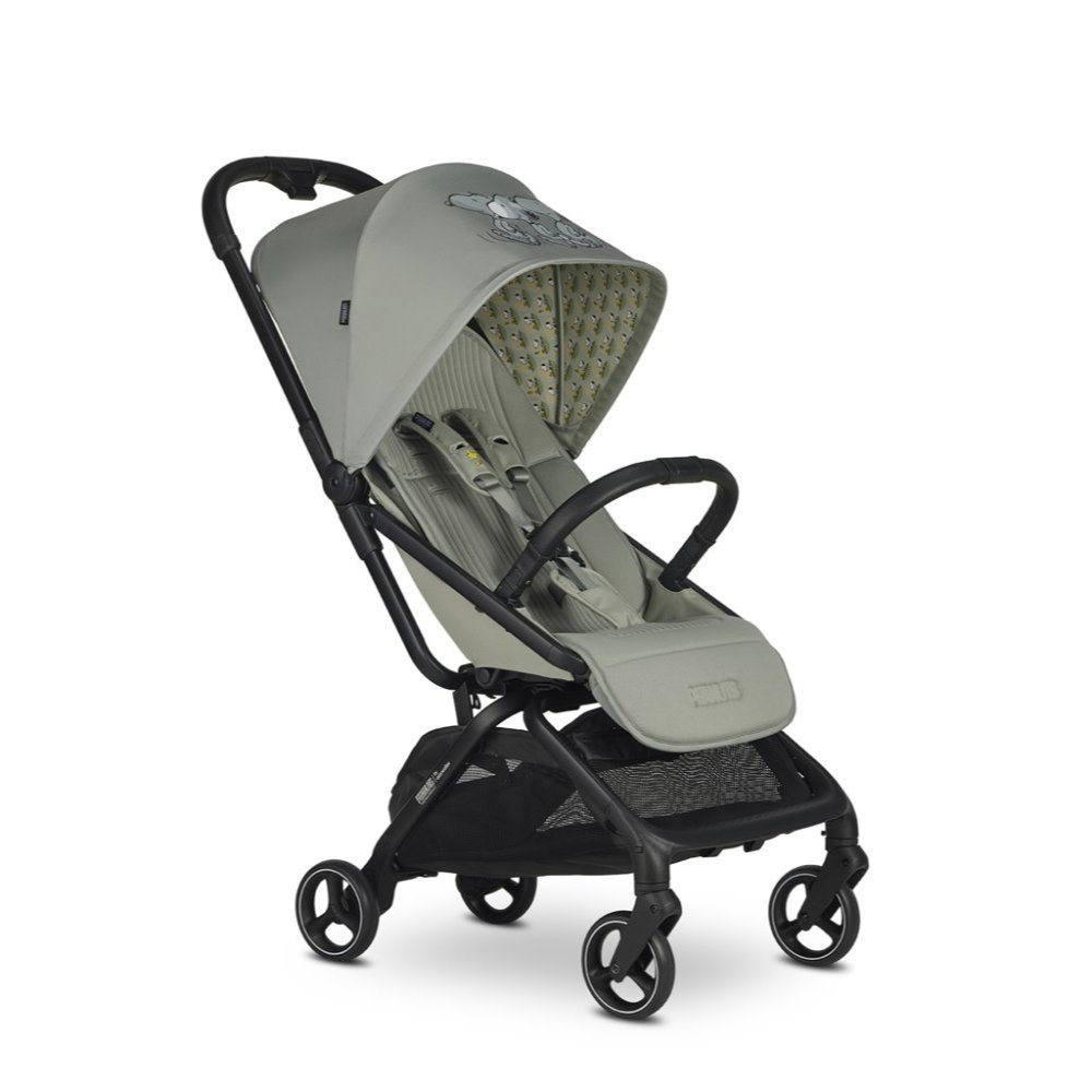 Rockey-IconicPeanuts