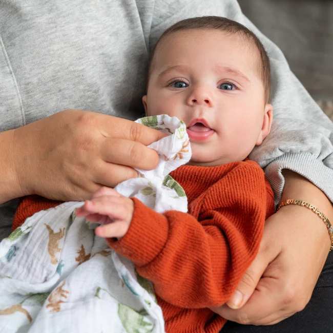 Aden + Anais Classic Muslin Cotton Muslin Swaddle Blankets / Bedong Bayi Premium