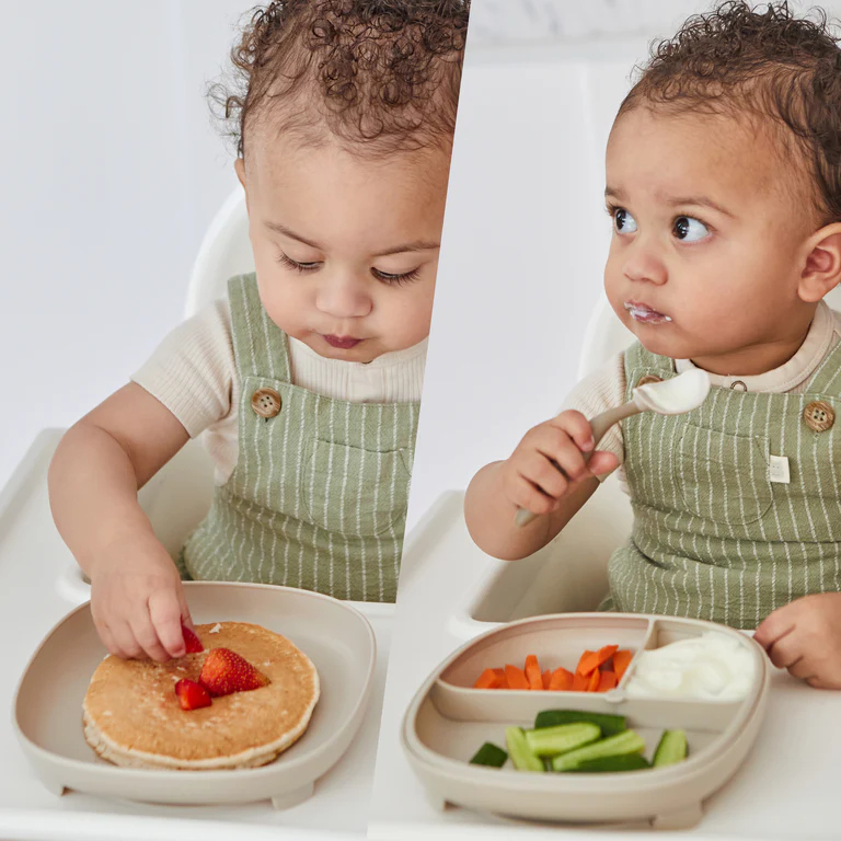 Bbox 2in1 Divided Suction Plate / Piring Sekat Multifungsi | Alat Makan Bayi