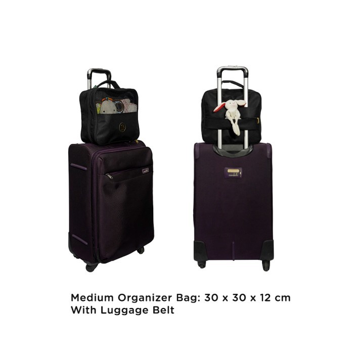 BabyGo Inc Travel Cube Organizer / Clothes Organizer