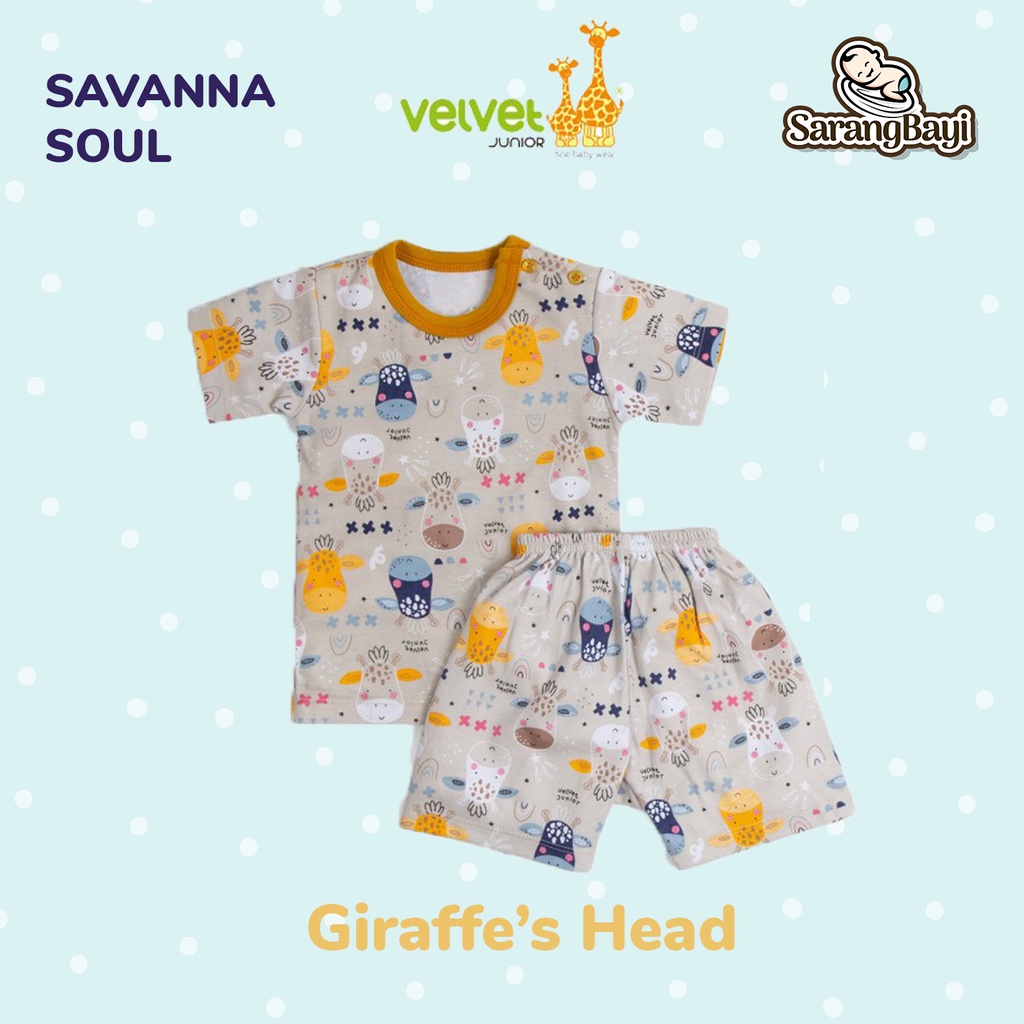 Girrafe's Head