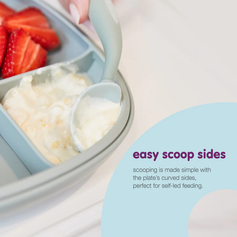 Bbox 2in1 Divided Suction Plate / Piring Sekat Multifungsi | Alat Makan Bayi